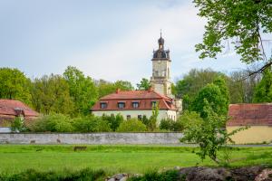 alt: Zdjęcie pałacu w parku