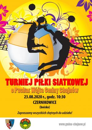 Plakat Turniej Piłki Siatkowej