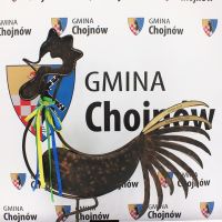 Nagroda - trofeum - kogut