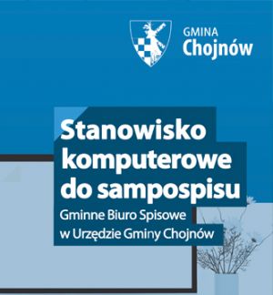 Grafika informacyjna - Stanowisko komputerowe do samospisu