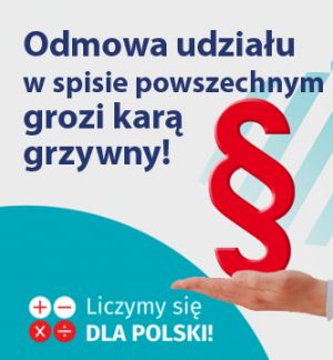 Kara za niedopełnienie obowiązku spisu