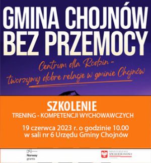 Szkolenie - plakat 19-06